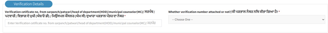 Punjab Domicile Verification Details