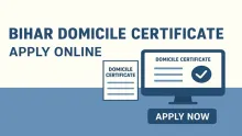 Bihar Domicile Certificate Apply Online Bihar Domicile Certificate Apply Online